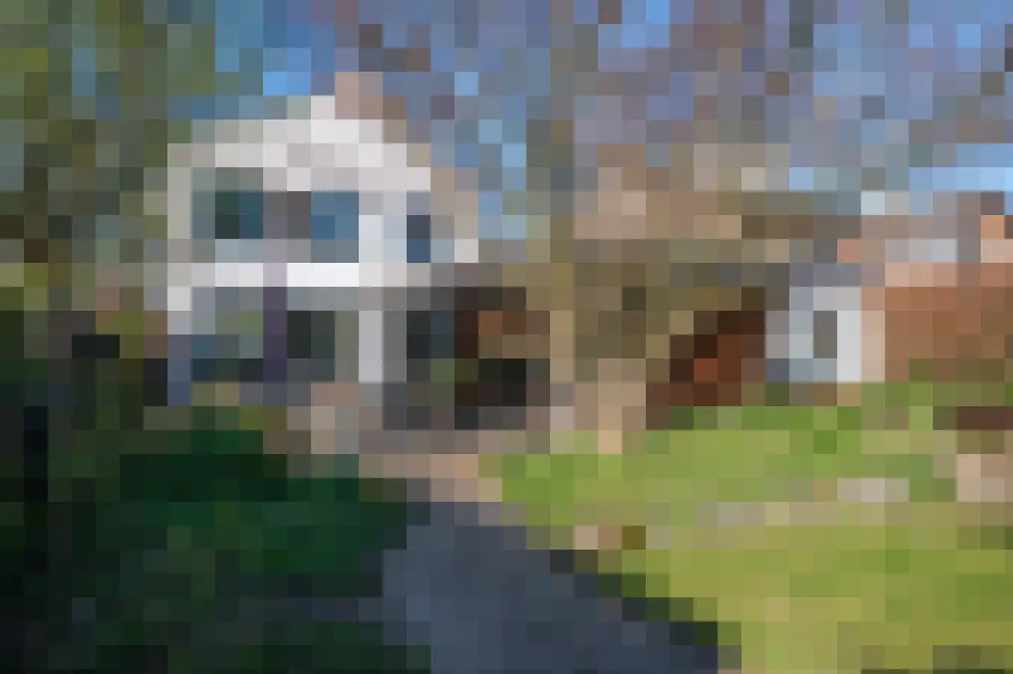 Fabritiusstraat 4 Sweikhuizen thumbnail 27
