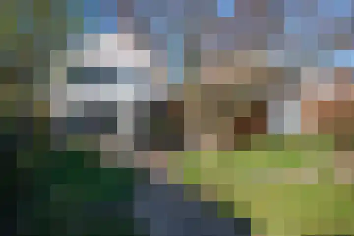 Fabritiusstraat 4 Sweikhuizen thumbnail 27
