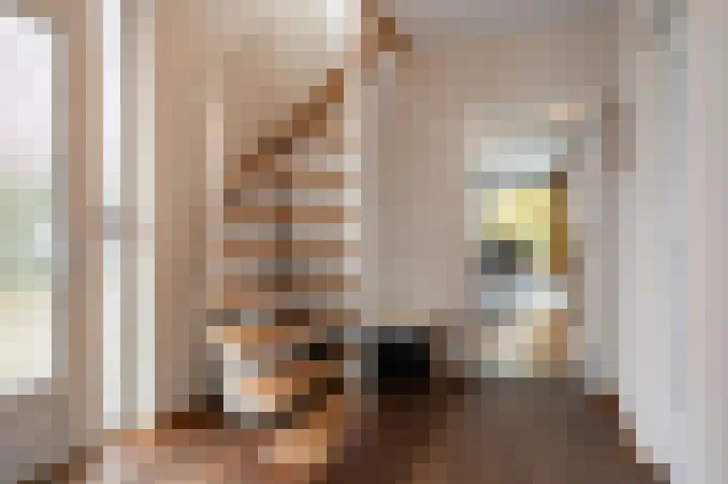 Fabritiusstraat 4 Sweikhuizen thumbnail 4
