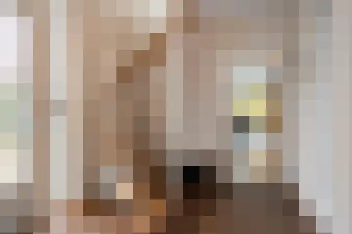 Fabritiusstraat 4 Sweikhuizen thumbnail 4