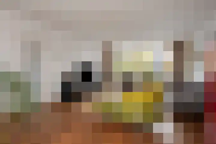 Fabritiusstraat 4 Sweikhuizen thumbnail 5