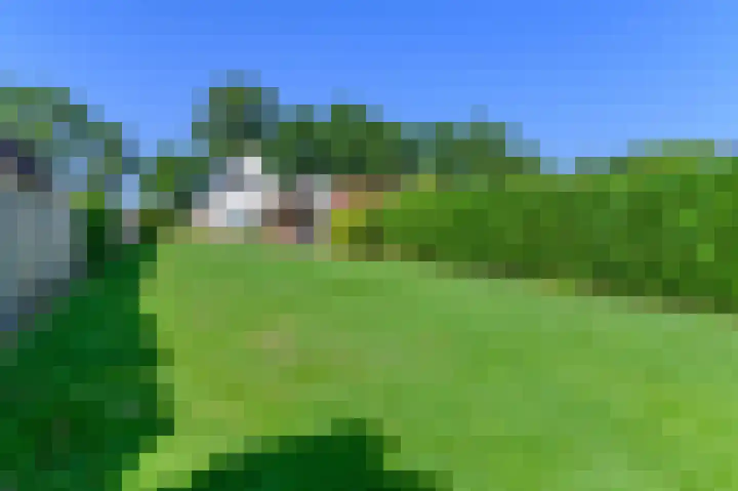 Fabryksleane 3 Hemrik thumbnail 20