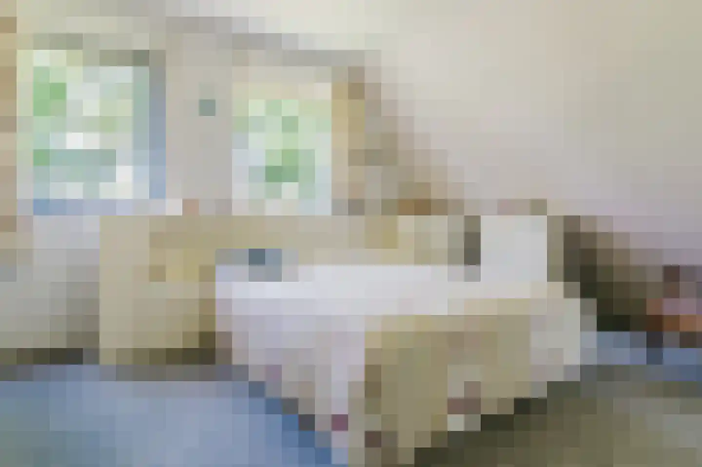 Fabryksleane 3 Hemrik thumbnail 46