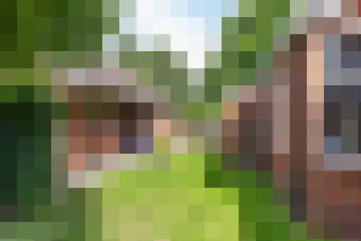 Fabrykswei 16 Oudega thumbnail 5