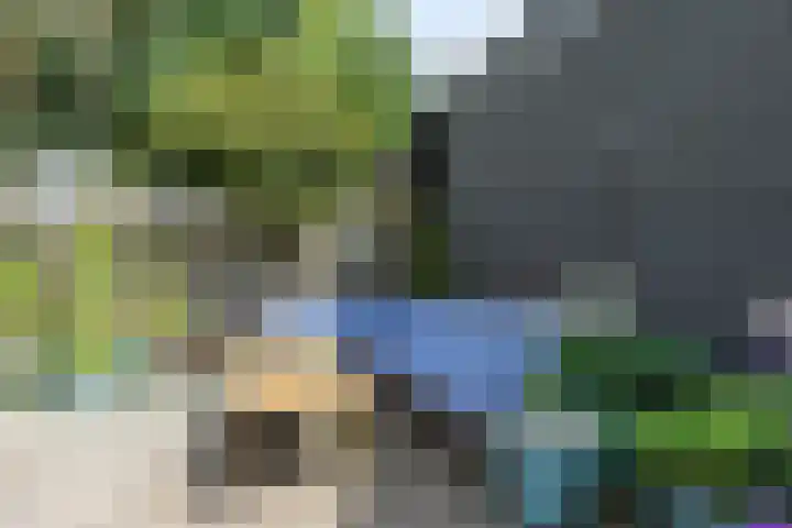Fabrykswei 16 Oudega thumbnail 51