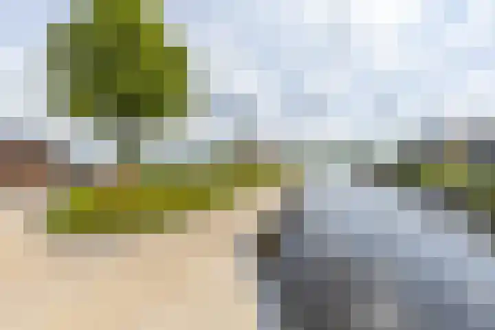 Fabrykswei 16 Oudega thumbnail 57