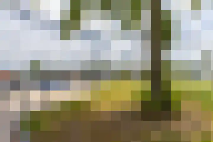 Fabrykswei 16 Oudega thumbnail 58