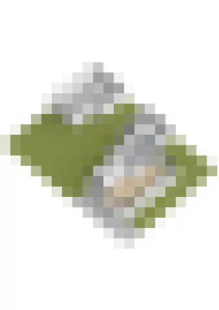 Fabrykswei 16 Oudega thumbnail 69