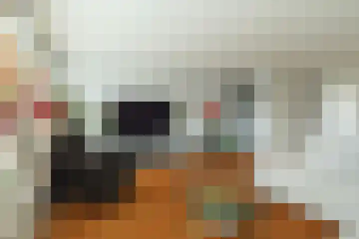 Facet 16 Rhoon thumbnail 13