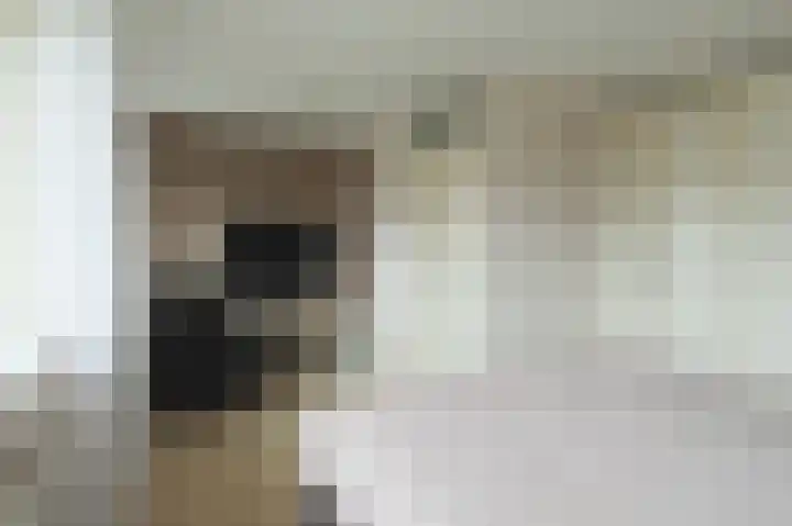 Facet 16 Rhoon thumbnail 21