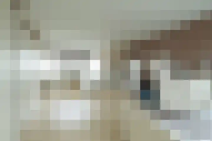 Facet 16 Rhoon thumbnail 27