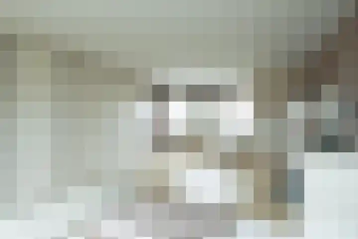 Facet 16 Rhoon thumbnail 28