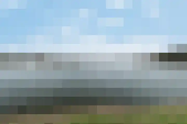 Facet 16 Rhoon thumbnail 36