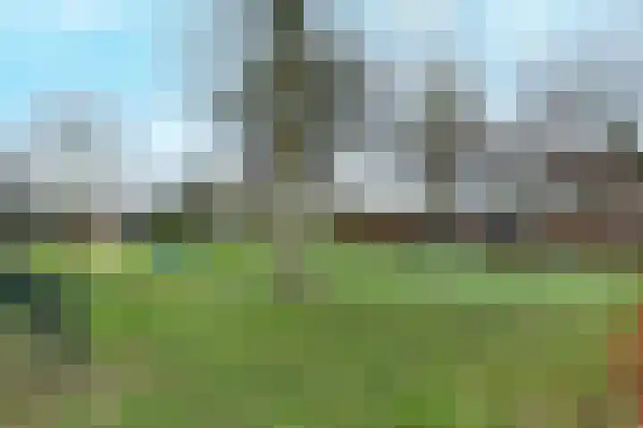 Facet 16 Rhoon thumbnail 38