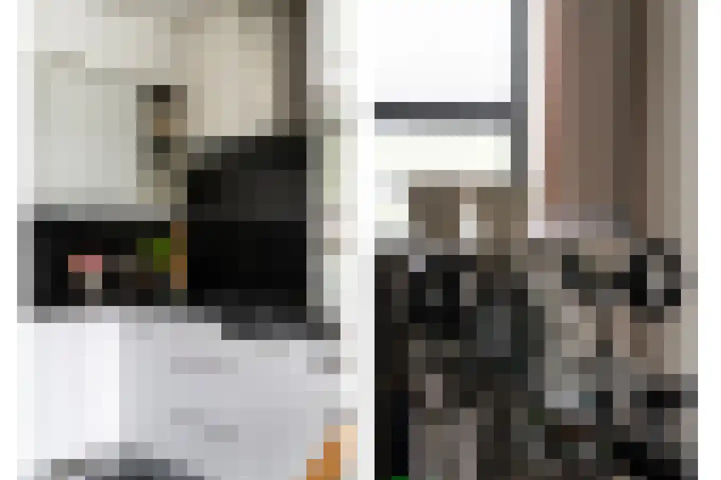 Factorij 10 Rotterdam thumbnail 13