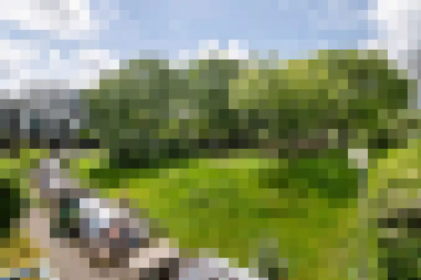 Factorij 113 Rotterdam thumbnail 10
