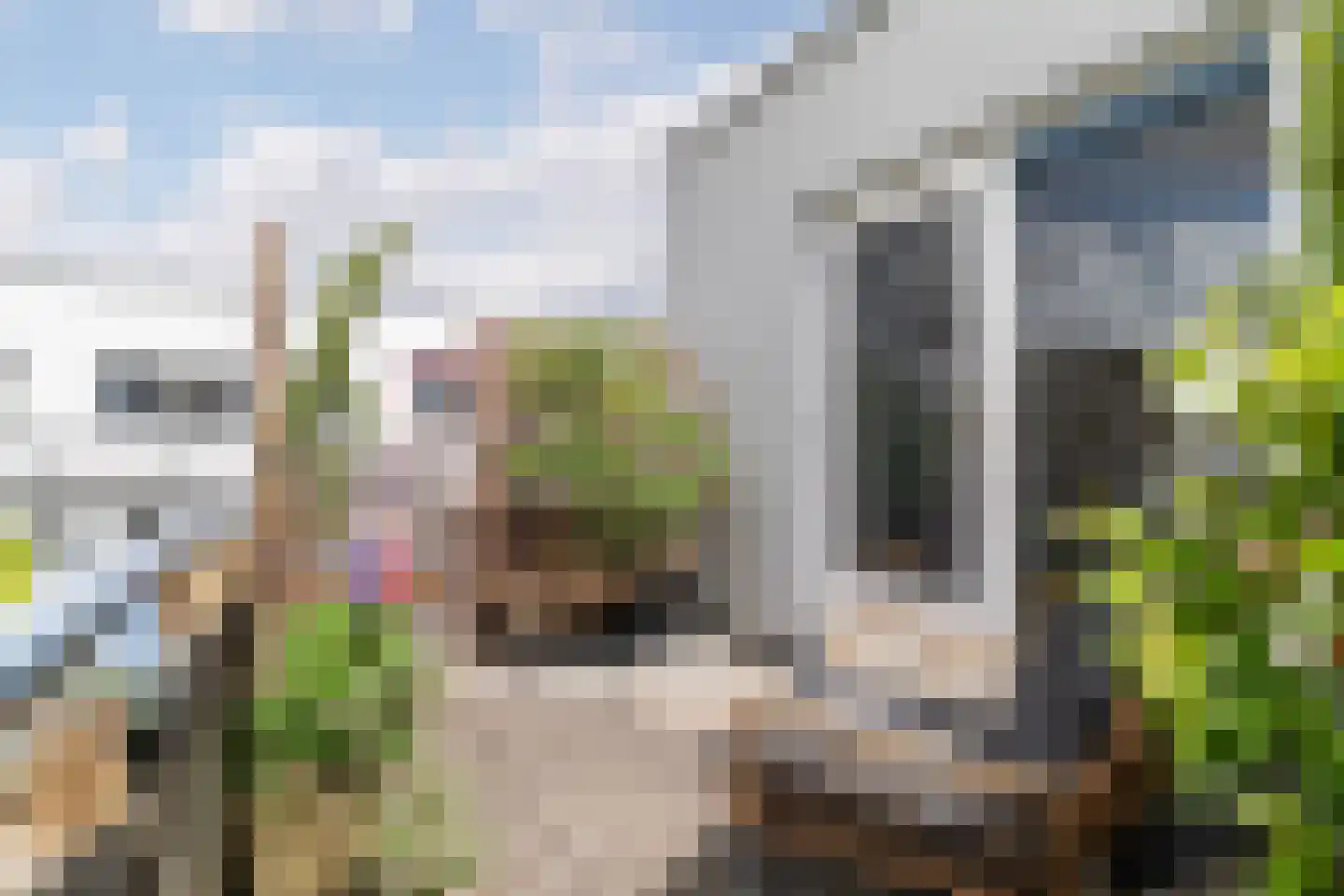 Factorij 113 Rotterdam thumbnail 23
