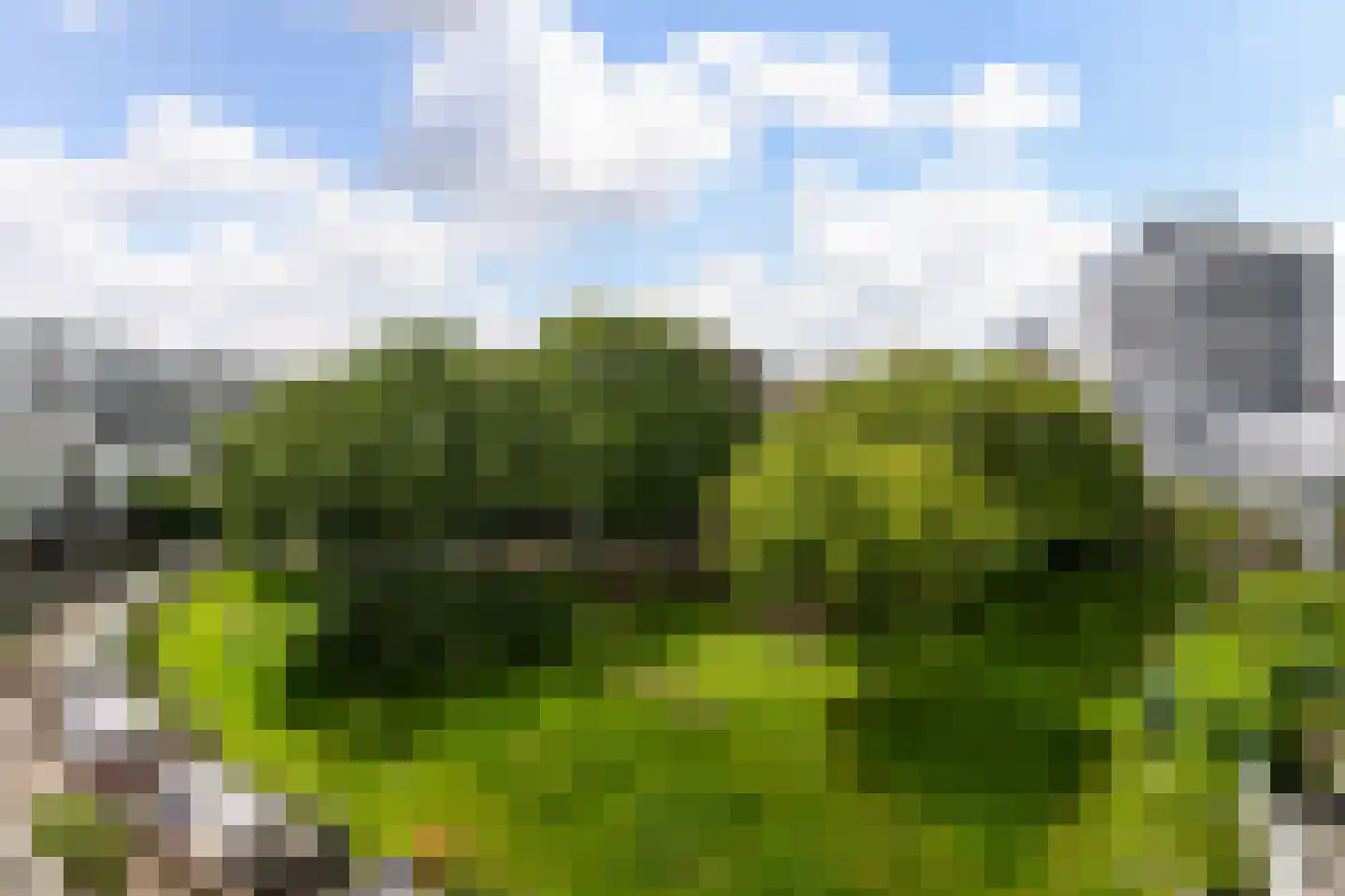 Factorij 113 Rotterdam thumbnail 24