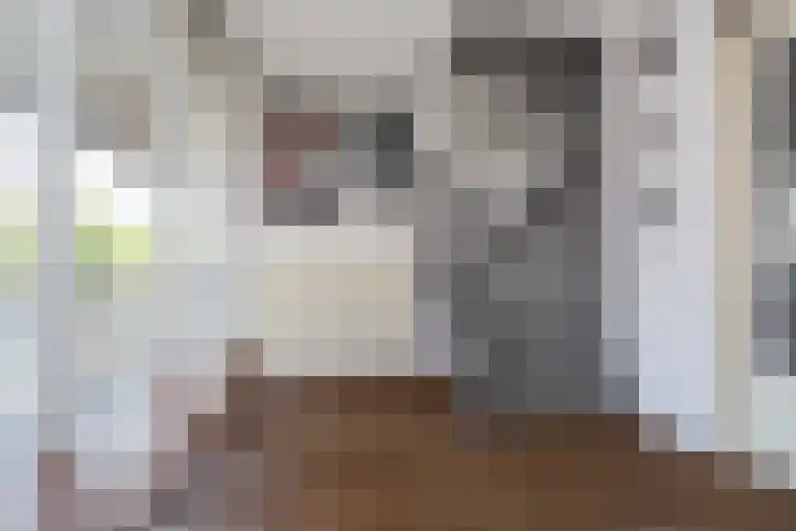 Factorij 127 Rotterdam thumbnail 11
