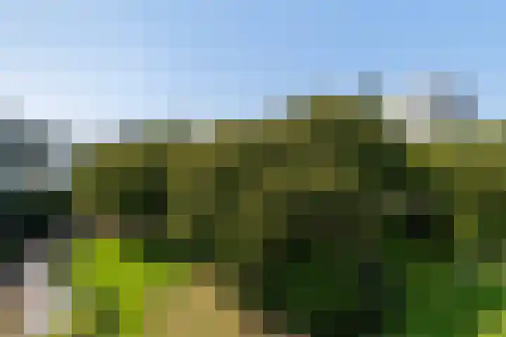 Factorij 127 Rotterdam thumbnail 25