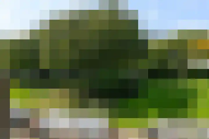 Factorij 127 Rotterdam thumbnail 8