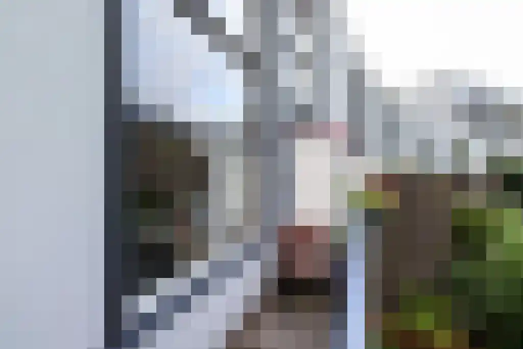 Factorij 129 Rotterdam thumbnail 6