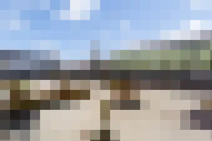 Factorij 20 Rotterdam thumbnail 23
