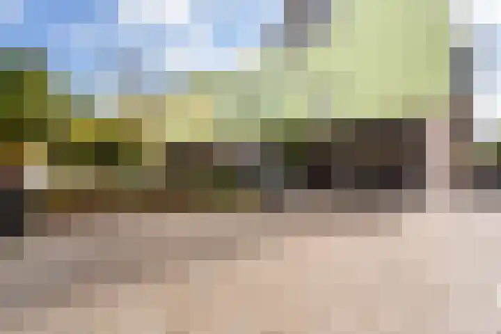 Factorij 20 Rotterdam thumbnail 26