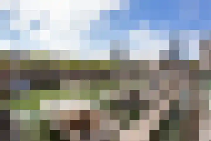 Factorij 20 Rotterdam thumbnail 30