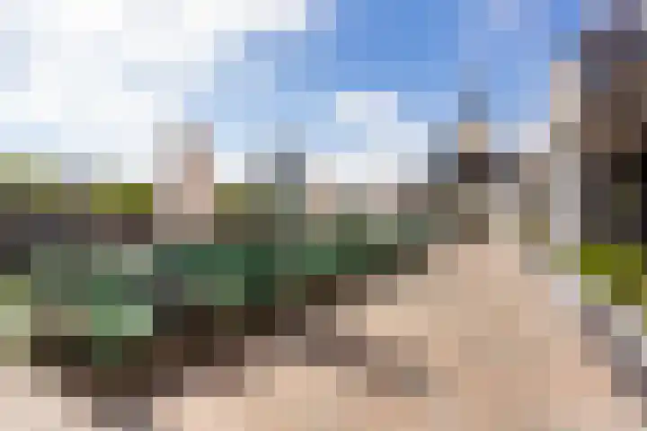 Factorij 20 Rotterdam thumbnail 31