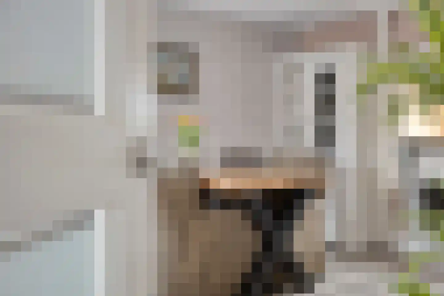 Faddegonstraat 66 Emmeloord thumbnail 6