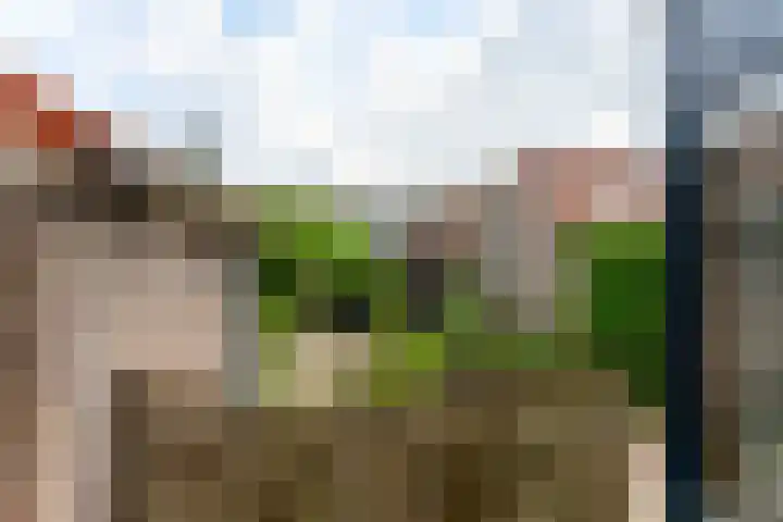 Faddegonstraat 68 Emmeloord thumbnail 17
