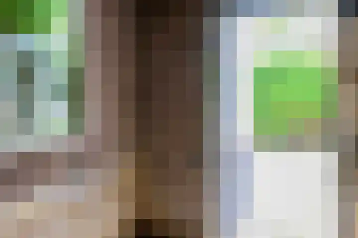 Faddegonstraat 68 Emmeloord thumbnail 21