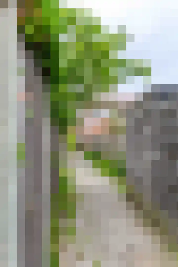 Faddegonstraat 68 Emmeloord thumbnail 22