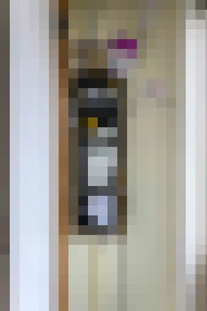 Faddegonstraat 68 Emmeloord thumbnail 4