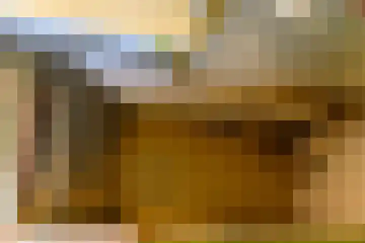 Faddegonstraat 68 Emmeloord thumbnail 6