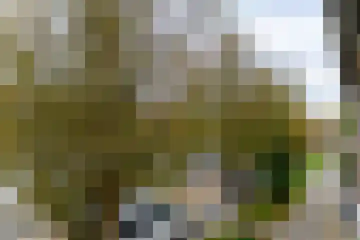 Faddegonstraat 71 Emmeloord thumbnail 35