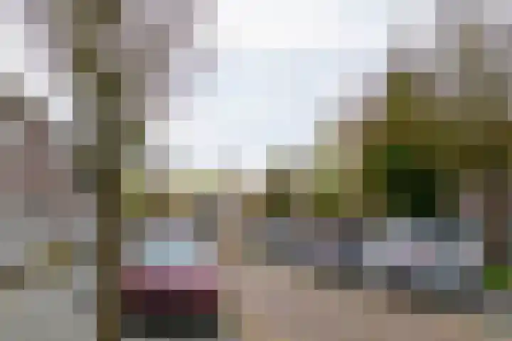 Faddegonstraat 71 Emmeloord thumbnail 46
