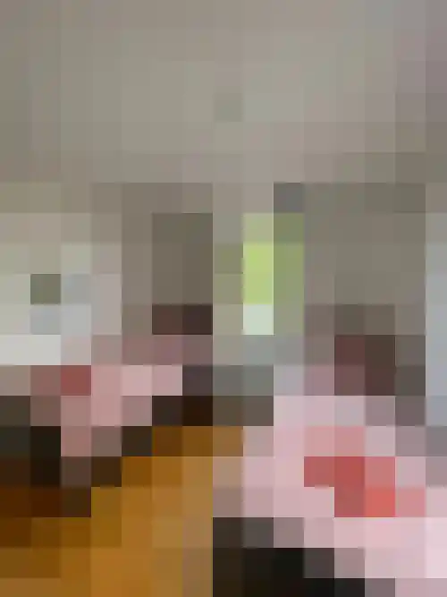 Fadershofstee 4 Bolsward thumbnail 41