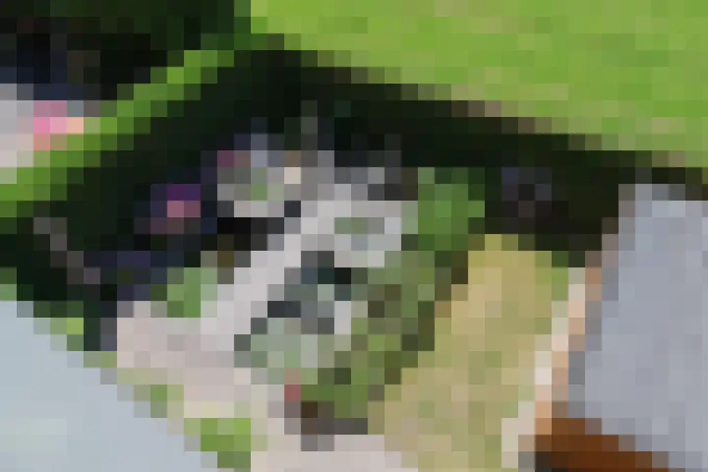 Fadershofstee 4 Bolsward thumbnail 52