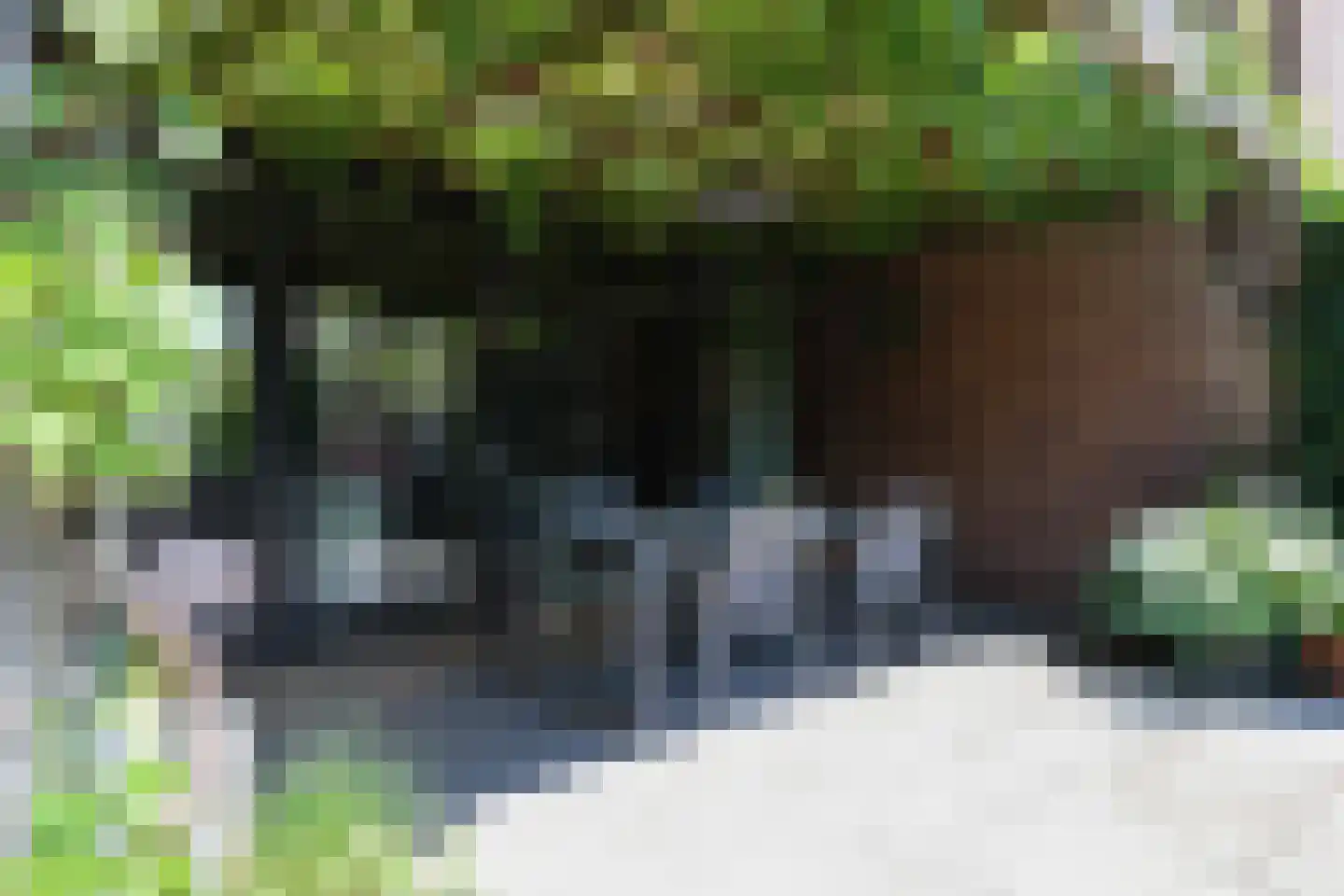 Fadershofstee 4 Bolsward thumbnail 65