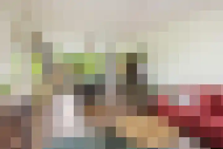 Fagellaan 33 Woerden thumbnail 14