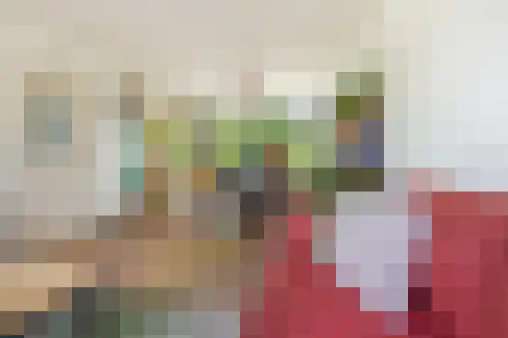 Fagellaan 33 Woerden thumbnail 15