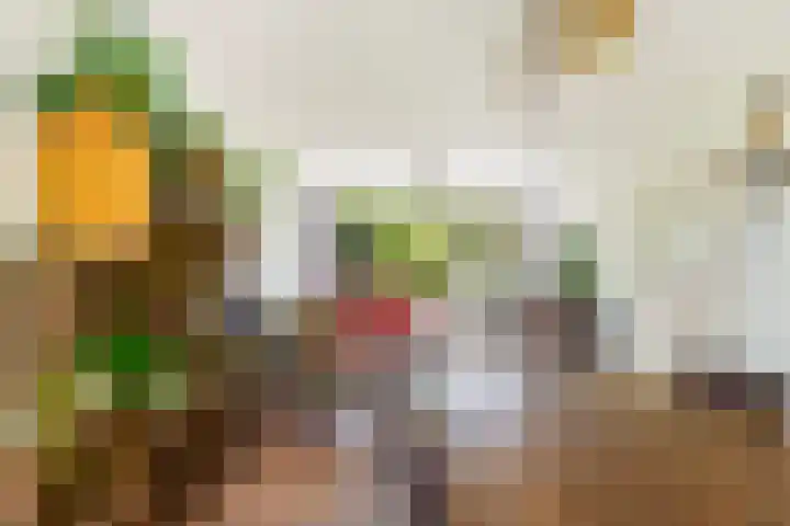 Fagellaan 33 Woerden thumbnail 16