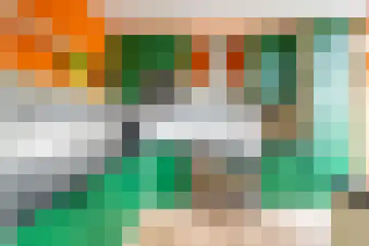 Fagellaan 33 Woerden thumbnail 19