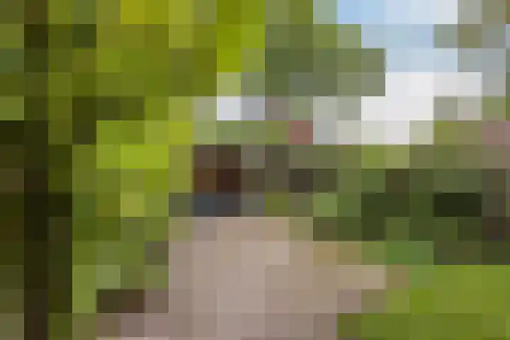 Fagellaan 33 Woerden thumbnail 20
