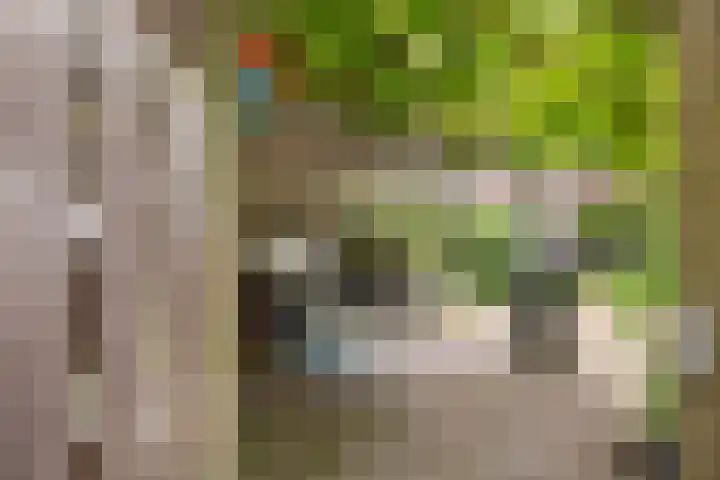 Fagellaan 33 Woerden thumbnail 21