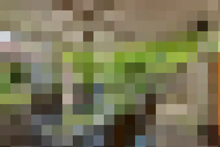 Fagellaan 33 Woerden thumbnail 23