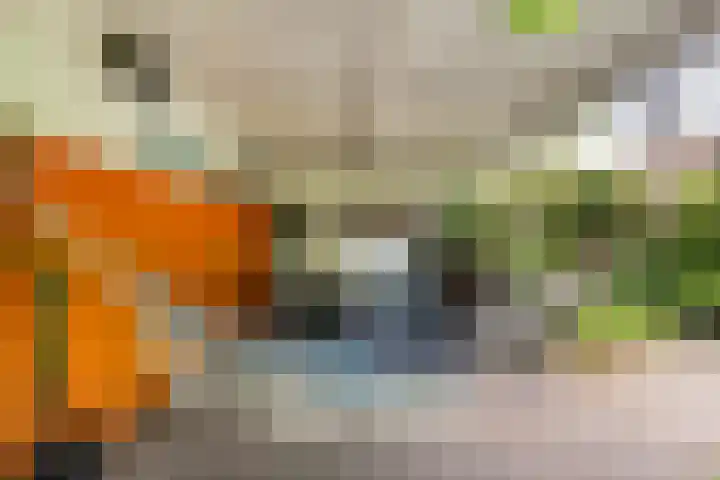 Fagellaan 33 Woerden thumbnail 24