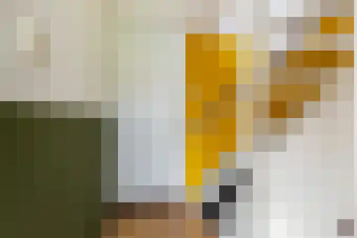 Fagellaan 33 Woerden thumbnail 25